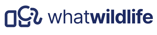 whatwildlife